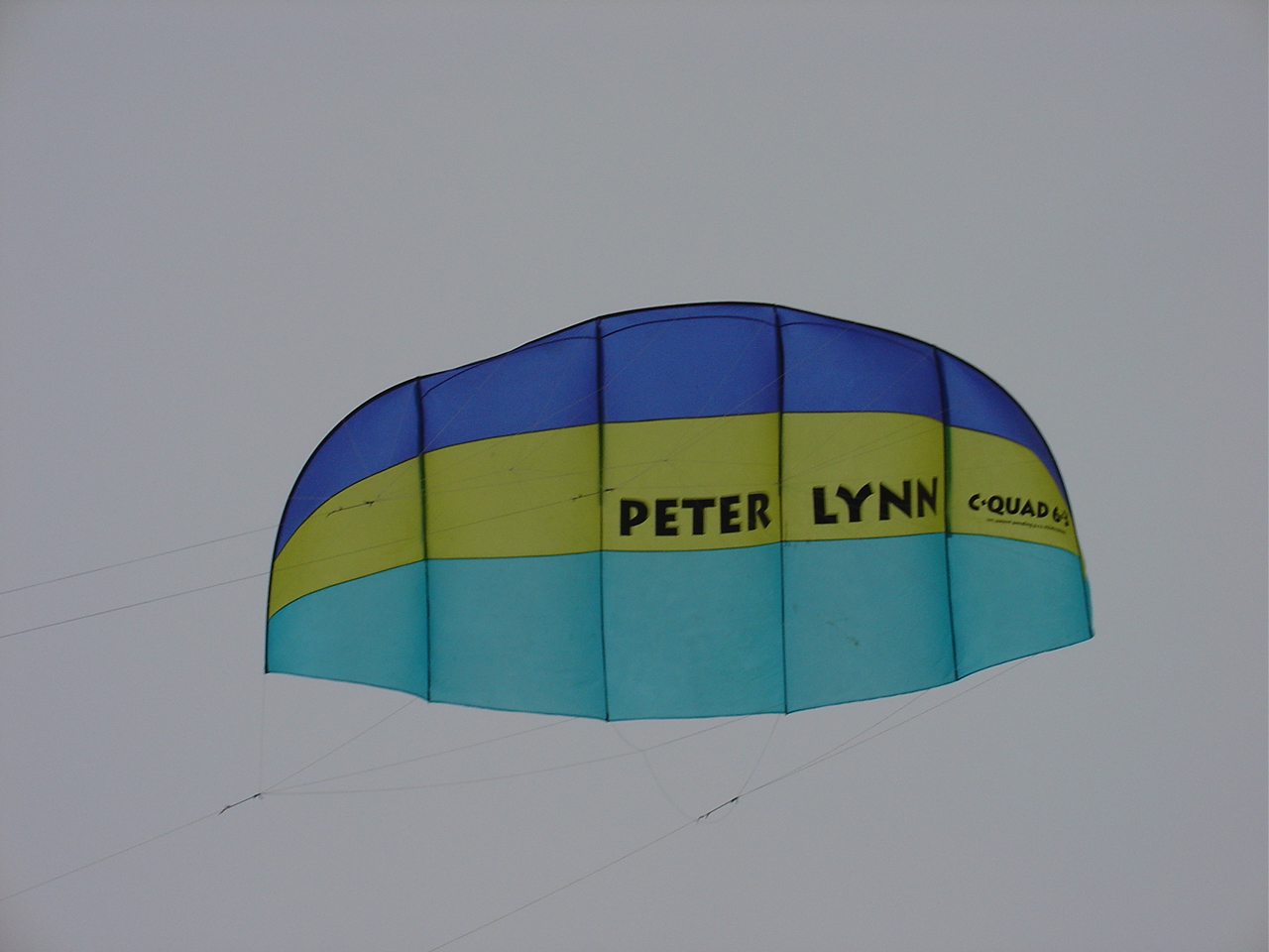 peter lynn